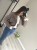 IMG_3950.jpeg
