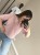 IMG_1015.jpeg