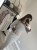 IMG_2444.jpeg