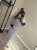 IMG_3213.jpeg