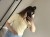 IMG_4143.jpeg